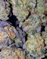 Super Silver Haze