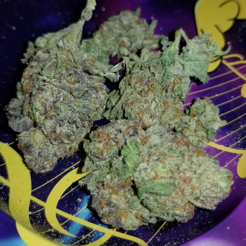 Blue Dream